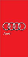 Banner-Audi-Rojo